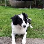 Michael Scahill - @killadreenan - Instagram