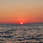 michael Scali - @mike_3382 - Instagram