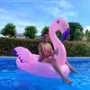 michaelscarpelli001 - @michaelscarpelli001 - TikTok
