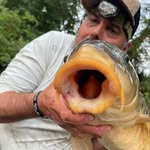 Michael Schaeffer - @michaelschaeffer73 - Instagram
