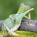 Michael Schaeffer - @jmschaeffer72 - Instagram