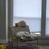 Michael Schaeffer - @michael.spam___ - TikTok