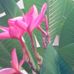 Michael Schaff - Facebook