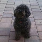 Michael Schäffner - @michael.schaffner.549 - Instagram