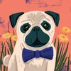 Michael Schoppert - @michael.schoppert - TikTok