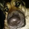 chapps1803 - @michaelchaps - TikTok