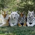 Michael Scheffel - @michael.scheffel - Instagram