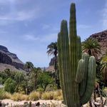 Michael Scheffler - @scheffler.michael75 - Instagram