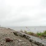 Michael Schehl - @schehlmichael - Instagram