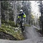 Michael Scheibl - @michael_scheibl_bike - Instagram