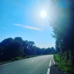 Michael - @michaelscheiber_ - Instagram