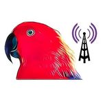 Michael Schell - @radioeclectus - Instagram
