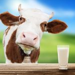 Michael Scheller - @dailydairy365 - Instagram