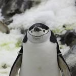Michael Schiemann - @michaelomega8802 - Instagram
