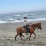 Ariel He - @schillingermichael19 - Instagram