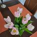 Michaela Schillinger - Facebook