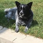 Michael Schlag - @michael.schlag2 - Instagram