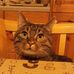 Michaela Schlender - Facebook