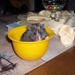 Michael Schlüter - @schluter4676 - Instagram