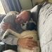 Michael Schmeltzer - Facebook