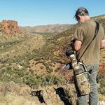 Michael Schmid - @aus_birder - Instagram