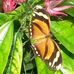 Michael Schmid - Facebook
