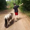 Michael Schmidt - @michaelschmidt666 - TikTok