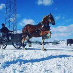 michael schmucker - @schmucker_michael - Instagram