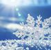 Michael Schnee - Facebook