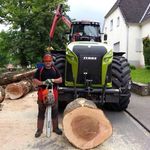 Michael Schneegans - @michaelschneegans - Instagram
