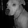 michael schomaker - @michaelschomaker - TikTok