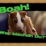 Michael Schonhoff - @michae.rhe910 - Instagram