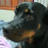 Michael Schon - @michaelschon - TikTok