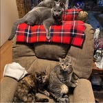 Michael Schurman Bonnie Schurman - @crash1951 - Instagram