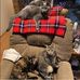 Michael Schurman Bonnie Schurman - Facebook