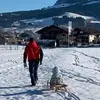 Michael Schwickert - @mischwi21 - TikTok