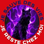 Michel Schweikert - @michelshweikert - Instagram