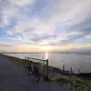 mmmmmmm - @michaelschwind82 - TikTok