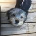 Michael Sciullo - Facebook