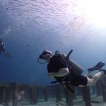Michael Sear - @mikesear83 - Instagram