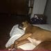 Michael Seaverson - Facebook