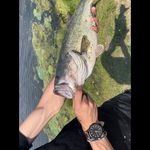 michael seckman - @m_seckman04 - Instagram