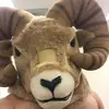 Michael Seckman - @michaelseckman1 - TikTok