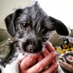 Michael Sedlock - @spikeheadlock - Instagram