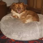 Hans-Michael Seemann - @jerry_und_kira_ - Instagram