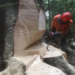 Michael Seemann - @michael.seemann.735 - Instagram