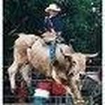 Michael Sehr - @michael.sehr.3 - Instagram