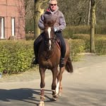 Michael Sehr - @michl_sehr - Instagram