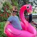 Michael Rory Seifried - Facebook
