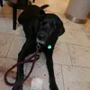 Michael Seifried - @michael.seifried - TikTok
